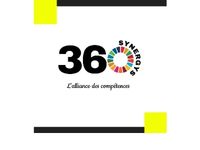 LOGO SYNERGYS360