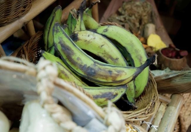 bananas from cote d'ivoire