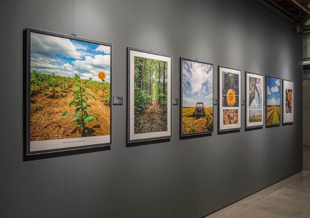 exposition de photos