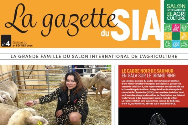 SIA Gazette: find highlights, anecdotes, and must-see events