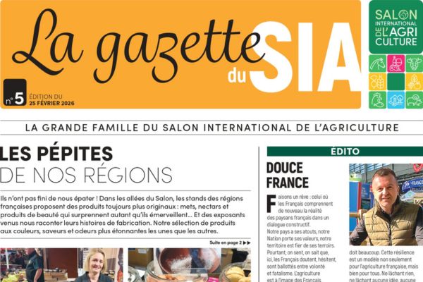 SIA Gazette: find highlights, anecdotes, and must-see events