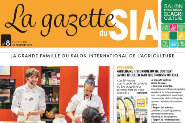 SIA Gazette: find highlights, anecdotes, and must-see events