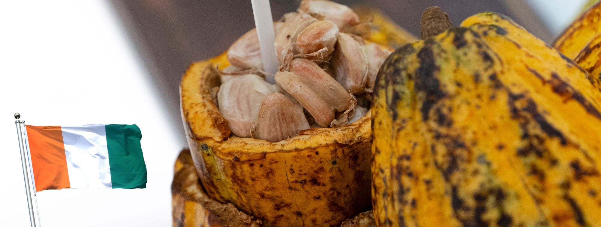 Côte d'Ivoire in the Spotlight at SIA 2026