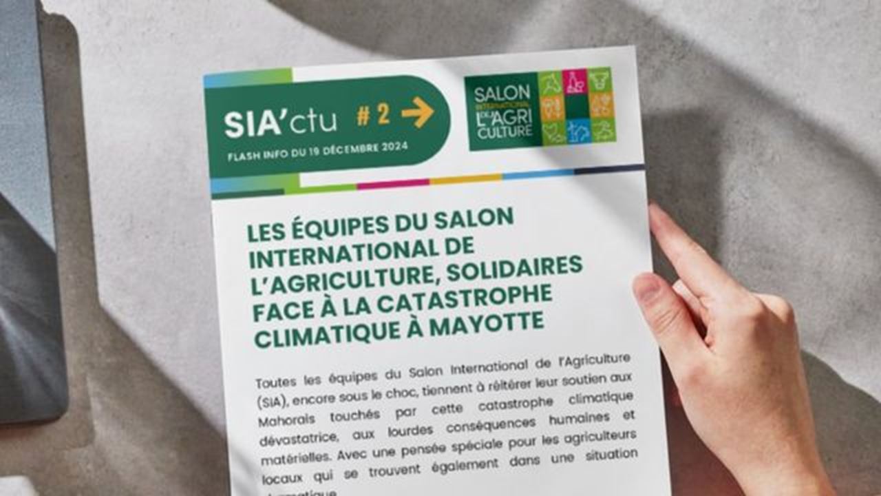 le salon soutien mayotte