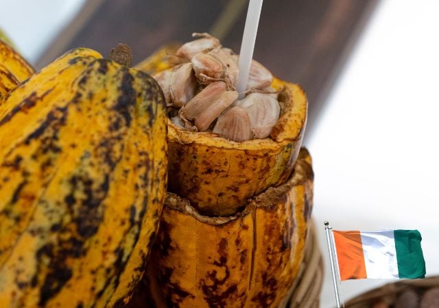 Côte d’Ivoire in the spotlight at SIA 2026