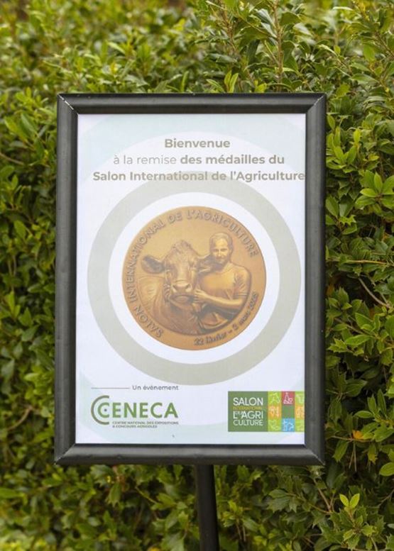 the SIA 2025 award winners