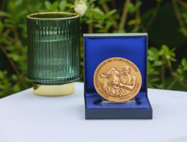 medal-event-2025