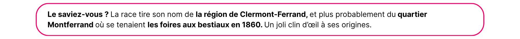 Le saviez-vous ? La race tire son nom de la région de Clermont-Ferrand, et plus probablement du quartier Montferrand où se tenaient les foires aux bestiaux en 1860. Un joli clin d’œil à ses origines.