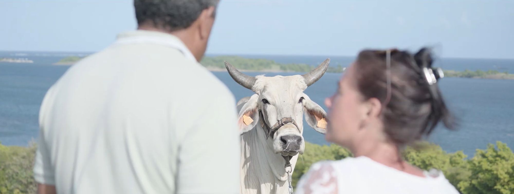 andré, juliette et biguine en arrière plan avec la mer en fond