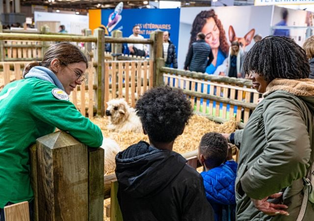 woman presenting goats to a family
