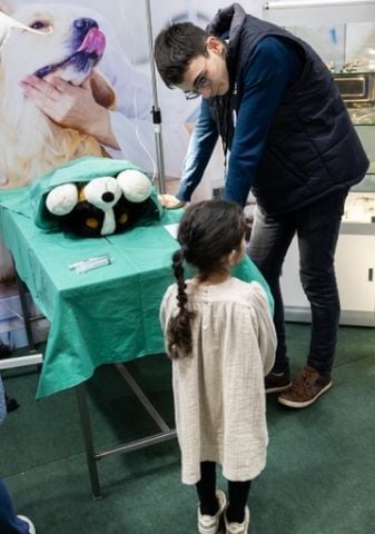 Veterinary care for all