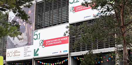 Panels on exterior walls