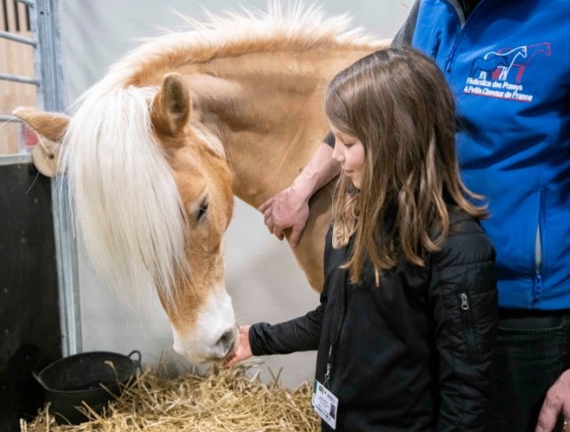initiation-poney-pavillon-6