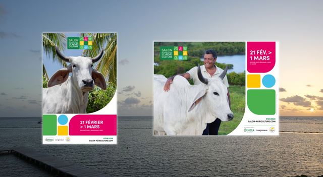 2 posters of the 2026 SIA against a backdrop of the Martinique sea view