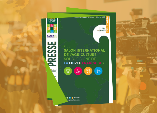 illustration-article-dossier-de-presse-btob