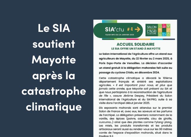 siactu-mayotte-illu