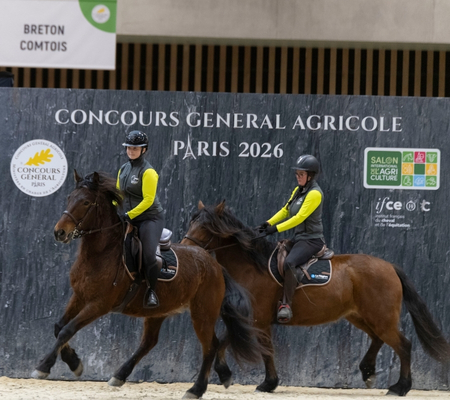 2 horses competing in the Concours Général Agricole