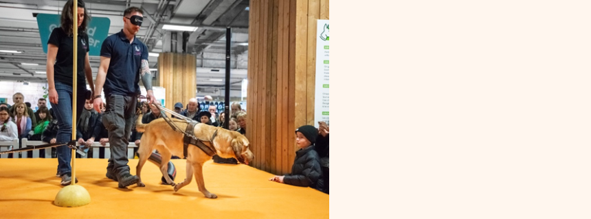Démonstration de l’Ecole des chiens guides de Paris